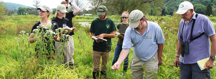 Wetland Delineation Training