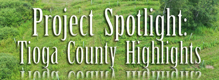 Tioga County Project Spotlight