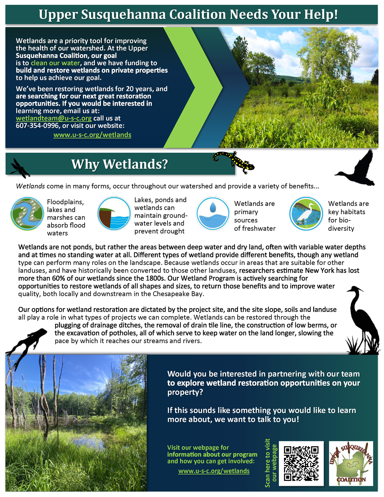 Wetland Committee – Upper Susquehanna Coalition